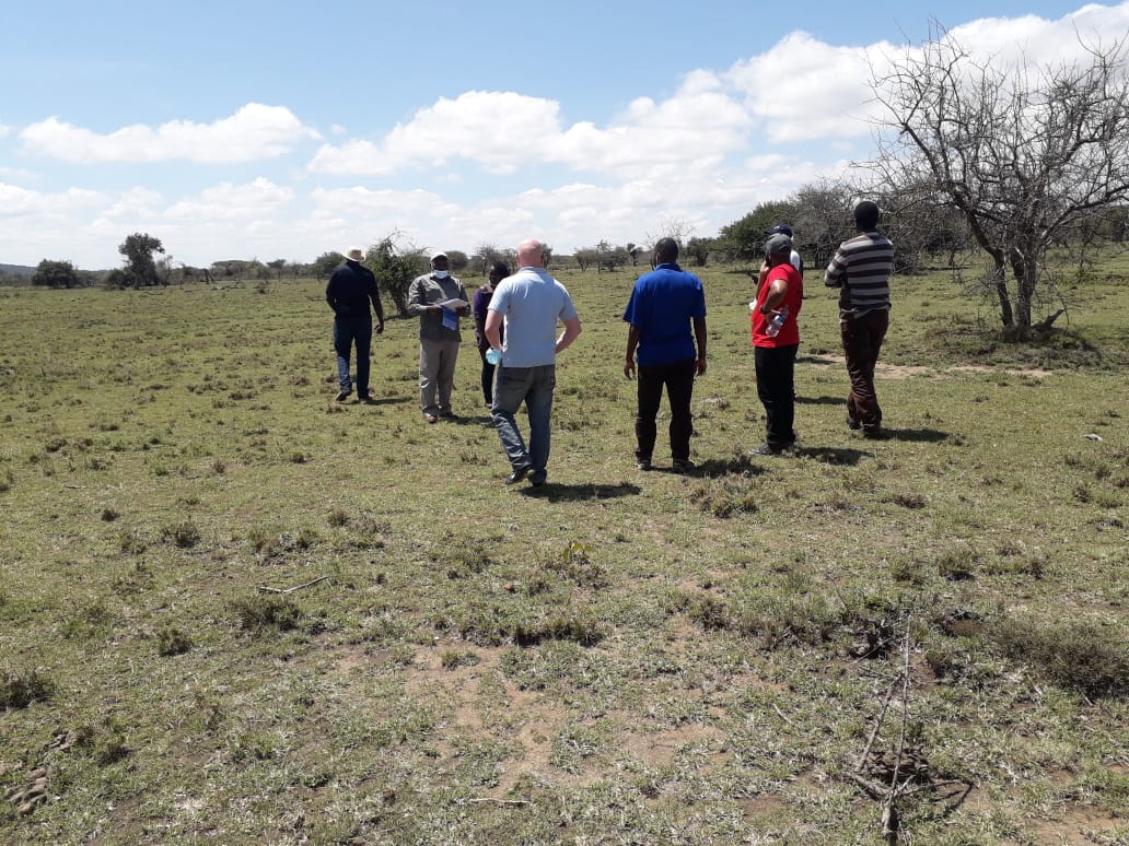 Additional property image